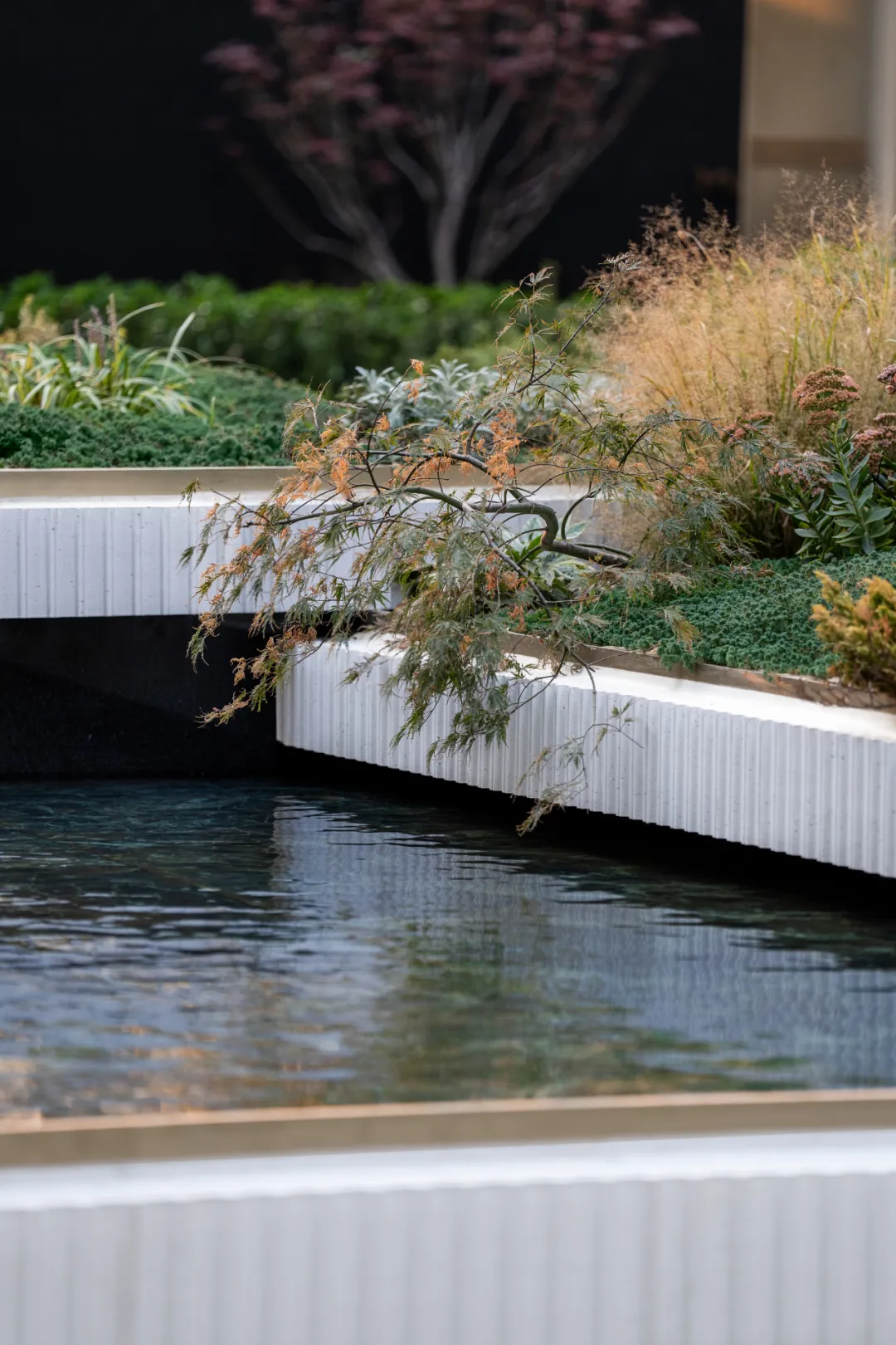 1742349414103880.jpg 1742349404398.jpg