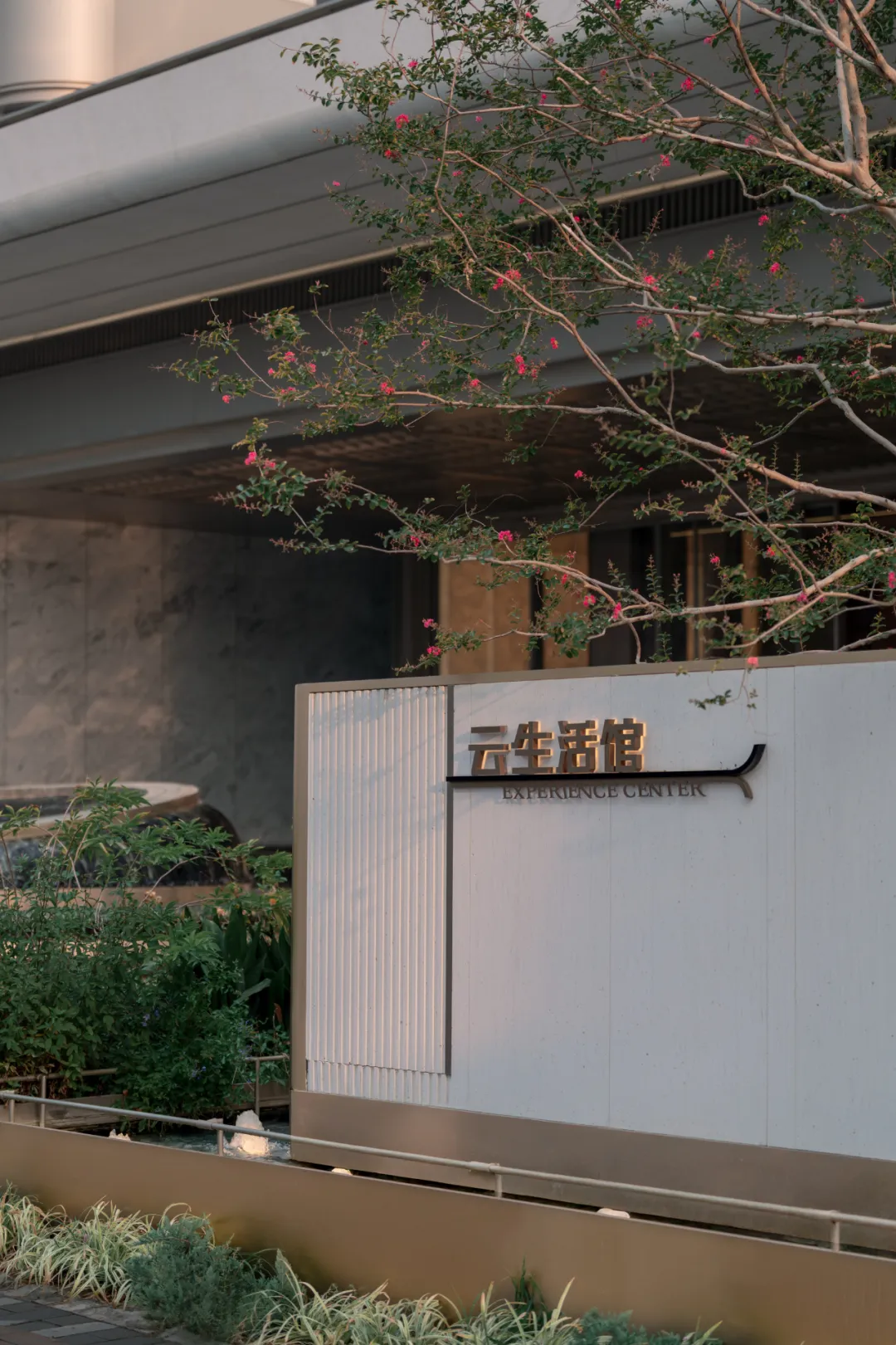 1742349512194739.jpg 1742349493515.jpg