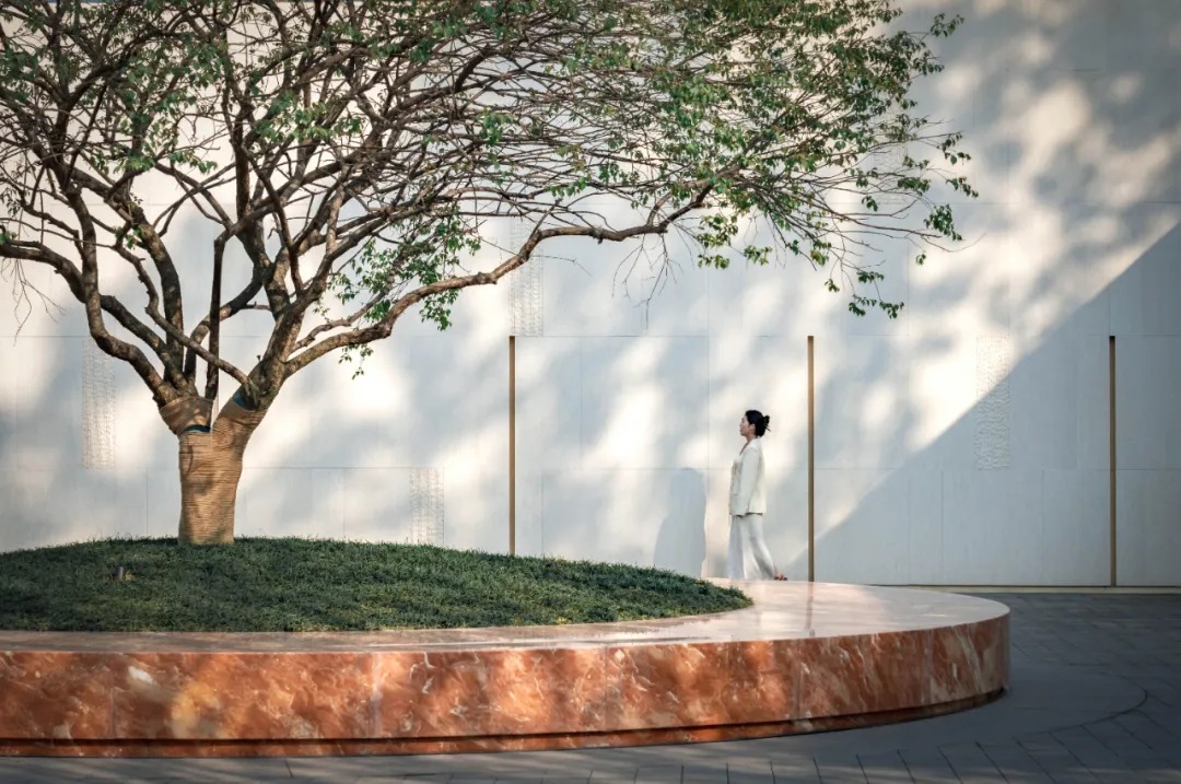 1743670292210441.jpg 1743670278696.jpg