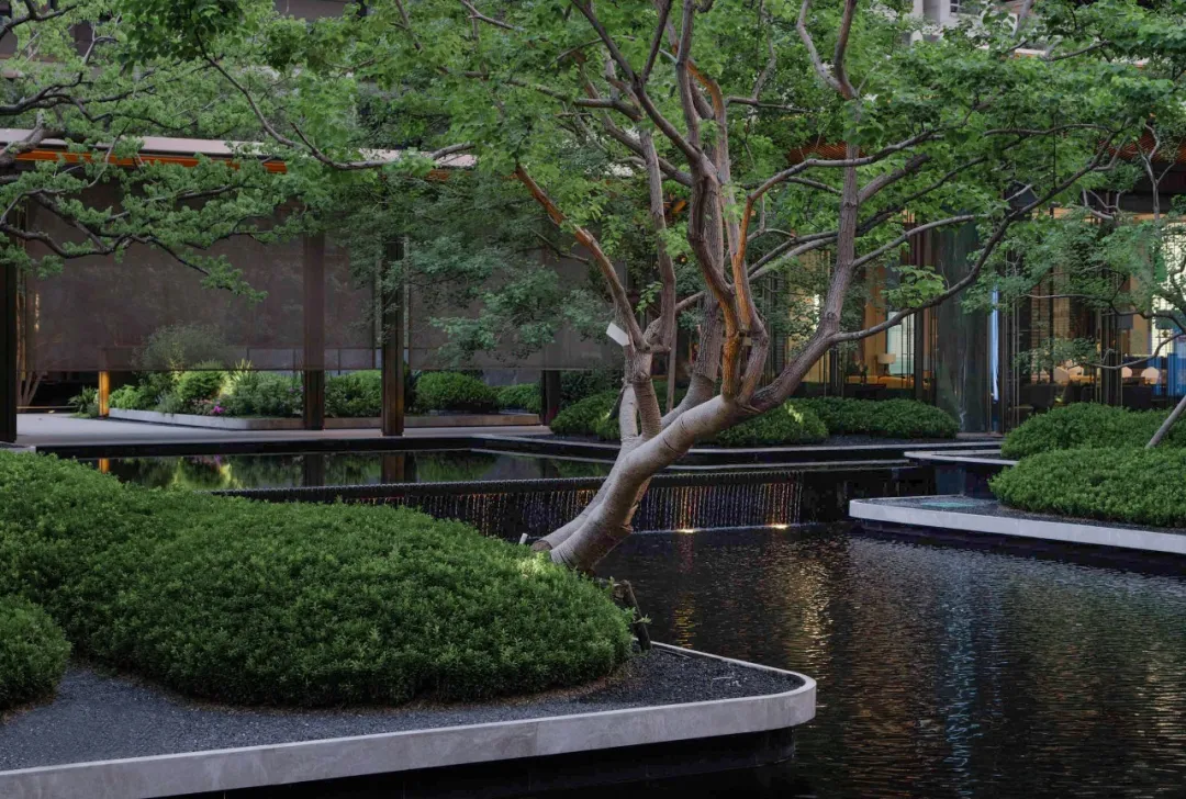 1743670355609984.jpg 1743670344719.jpg