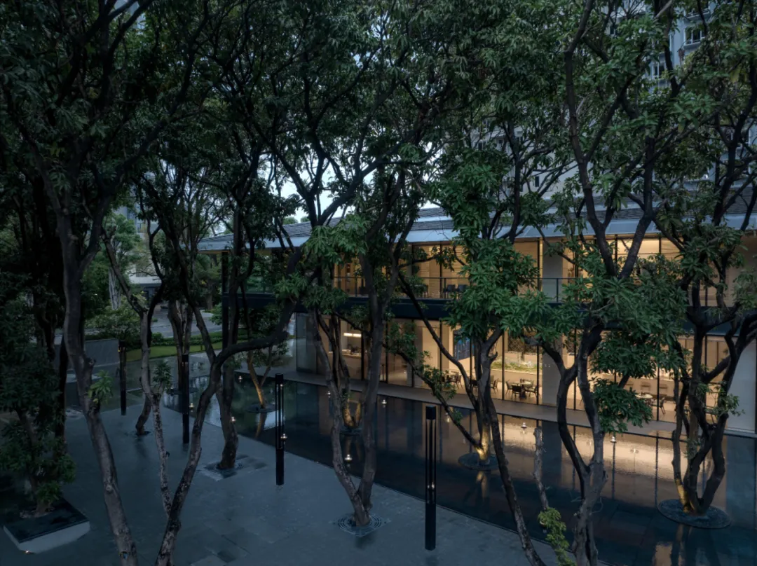 1743670383507720.jpg 1743670372561.jpg