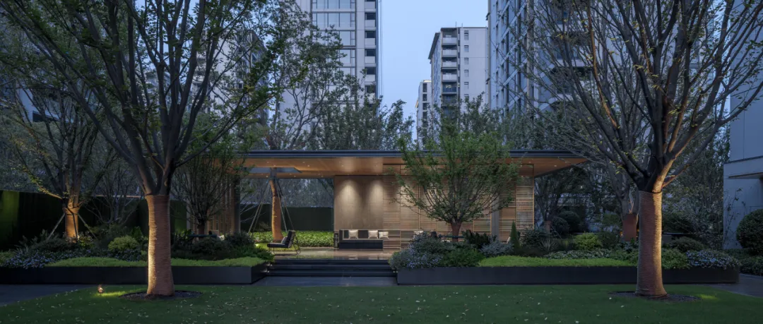 1743670417158898.jpg 1743670404955.jpg