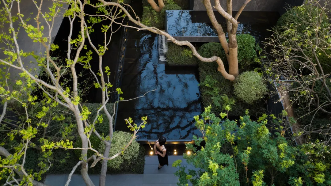 1743670502299727.jpg 1743670493239.jpg