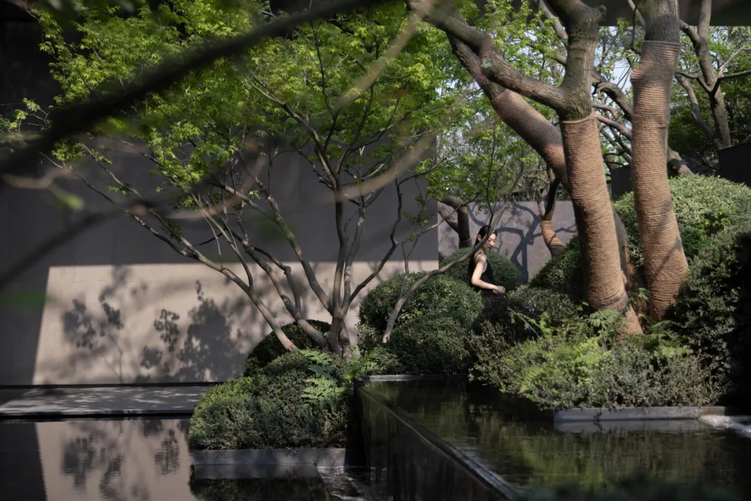 1743670507926702.jpg 1743670495702.jpg