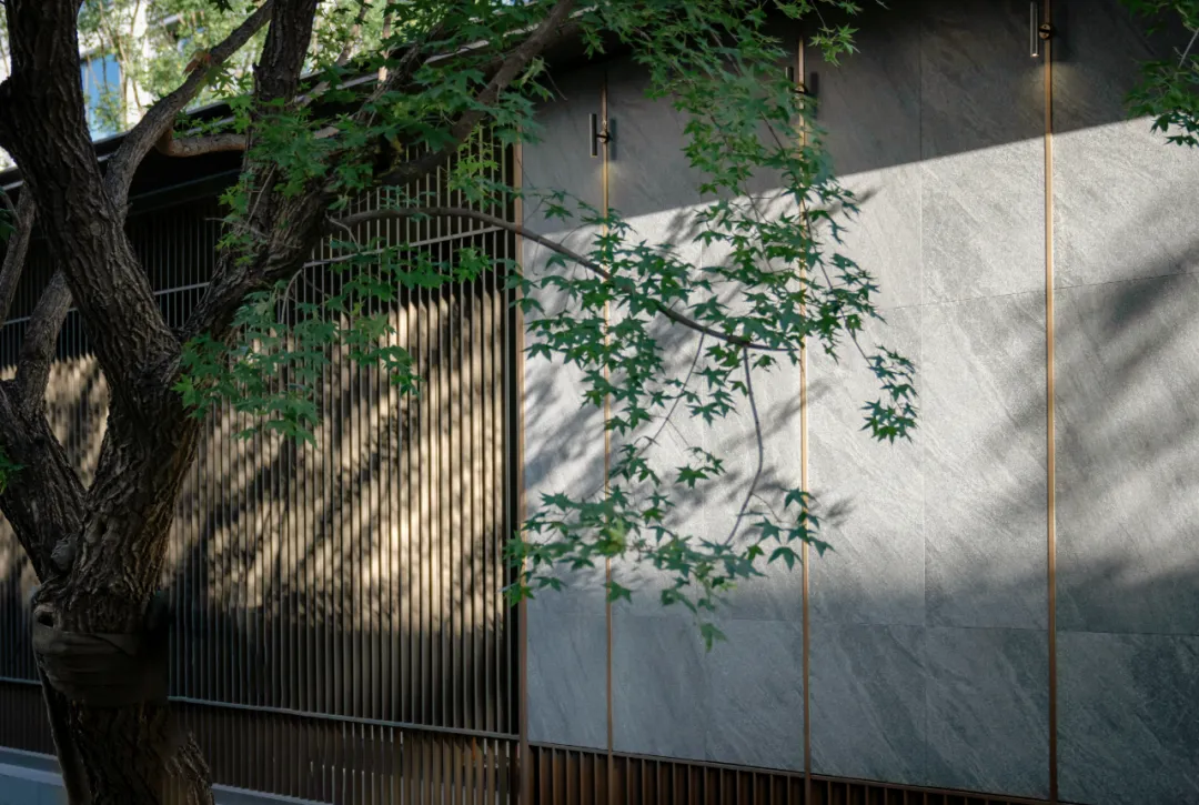 1743670535187380.jpg 1743670523039.jpg