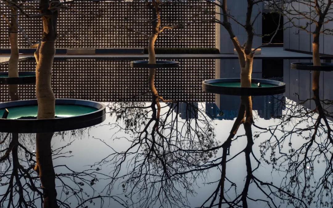 1743670892195031.jpg 1743670882840.jpg