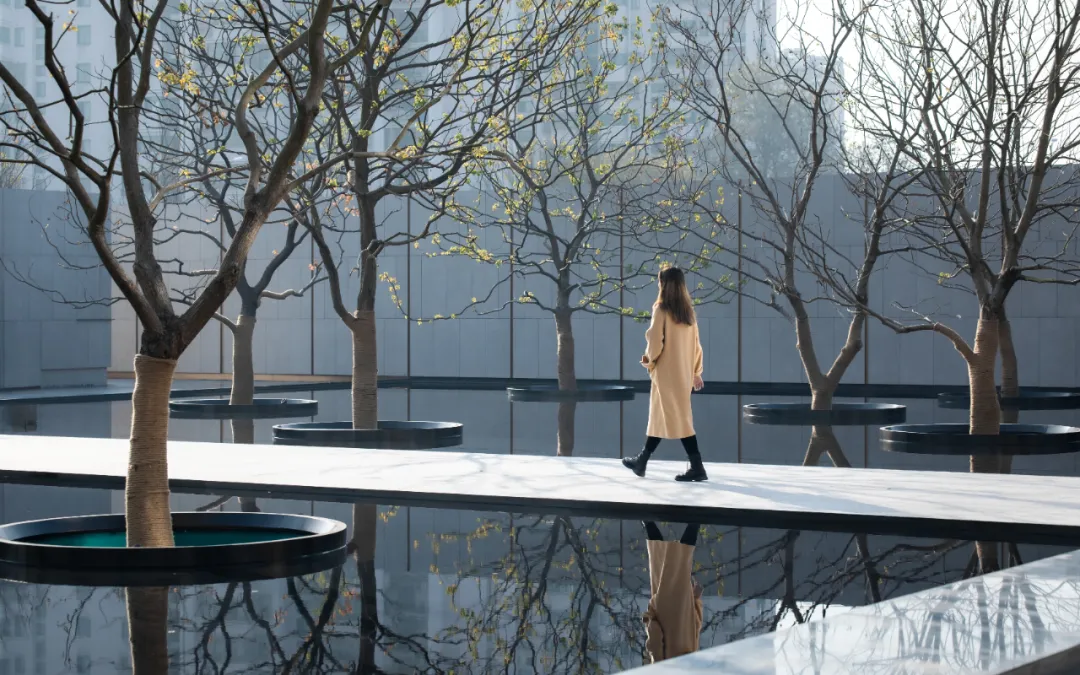 1743670897783517.jpg 1743670885189.jpg