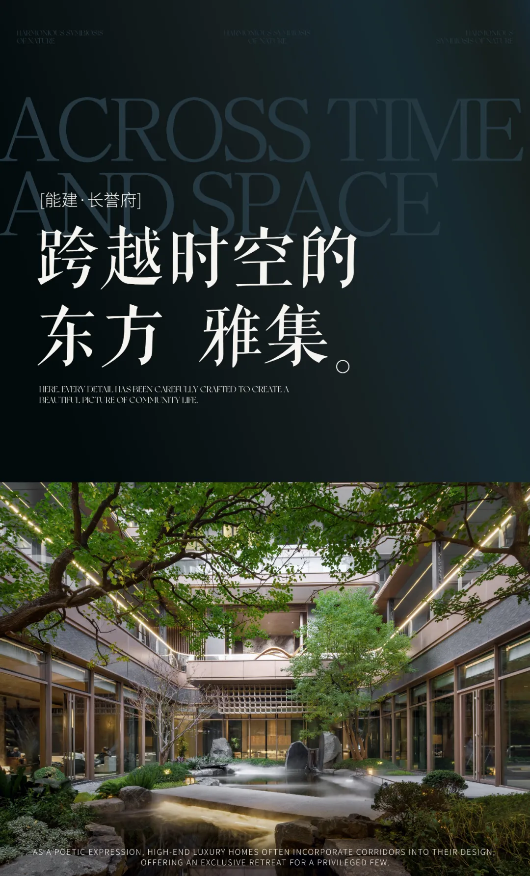 1743990624113918.jpg 1743990528281.jpg