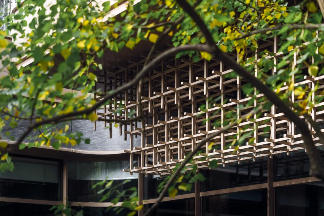 1743990632191618.jpg 1743990532051.jpg