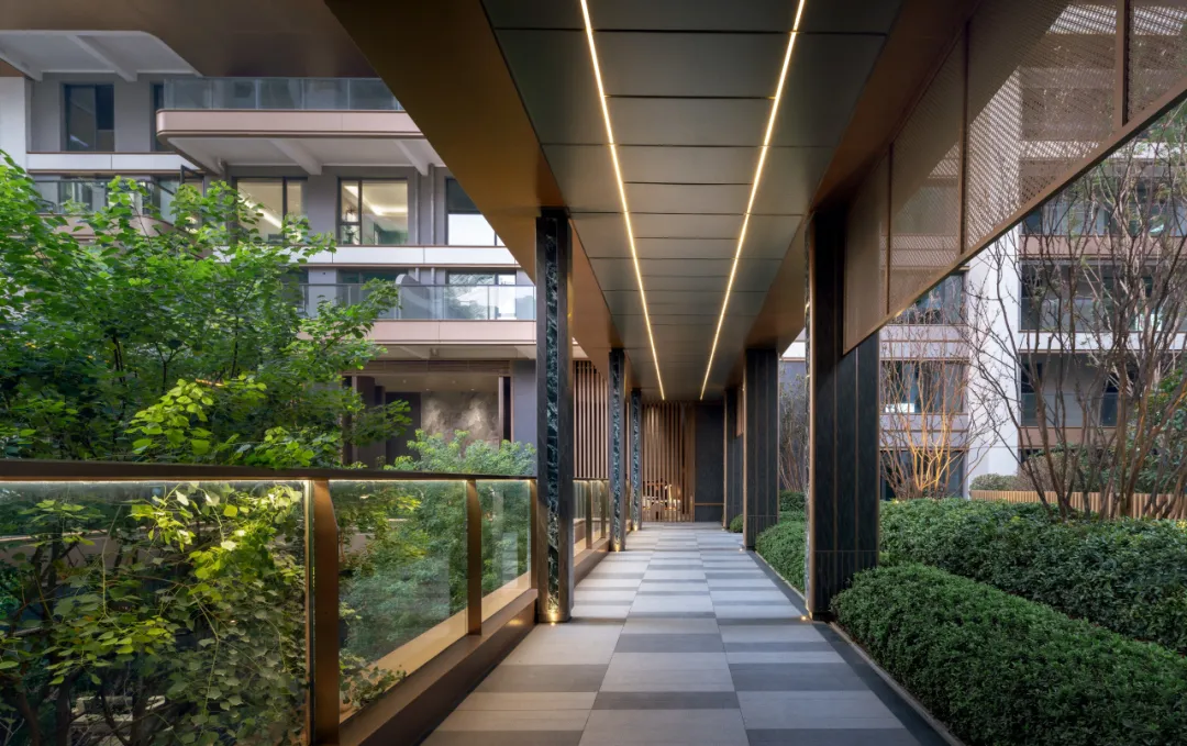 1743990846410259.jpg 1743990826350.jpg