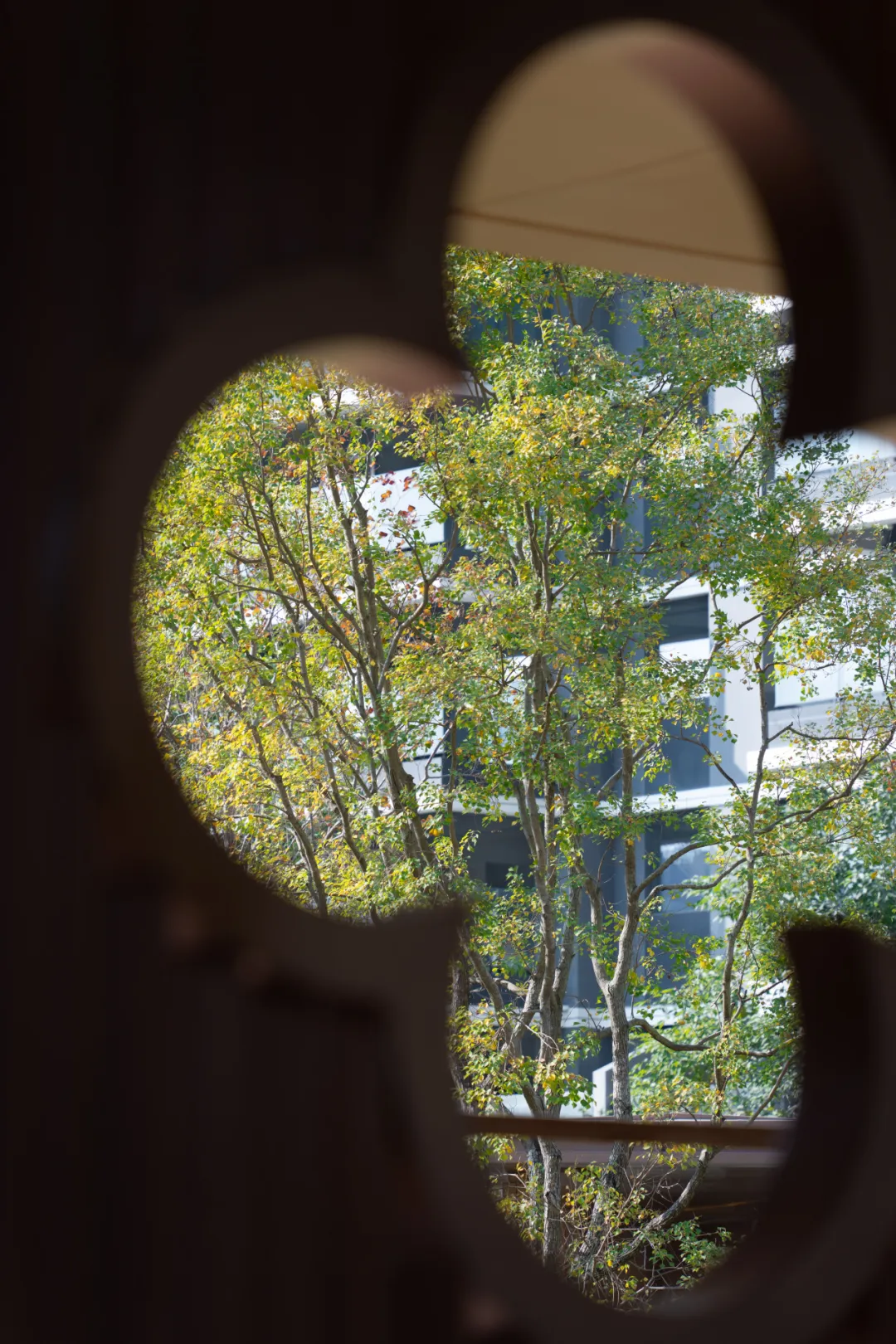 1743992814125936.jpg 1743992804490.jpg