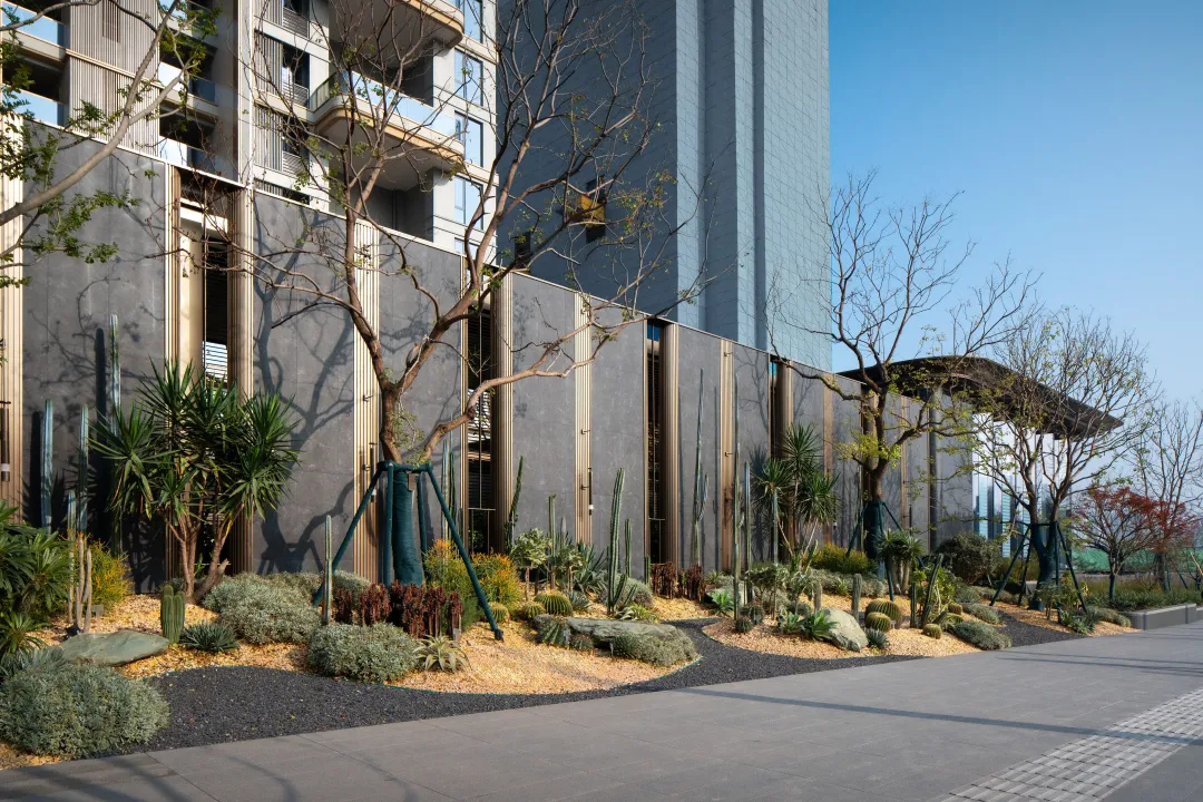 1743993973573442.jpg 1743993905198.jpg