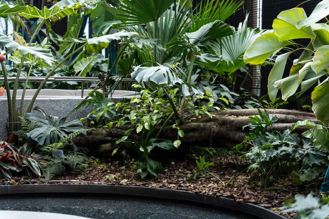 1743994111288180.jpg 1743994103512.jpg