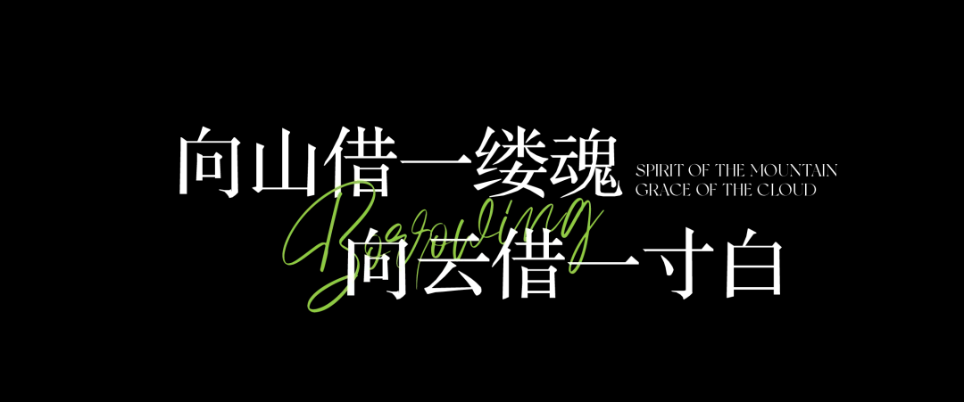 1744249262154980.jpg 1744249242853.jpg