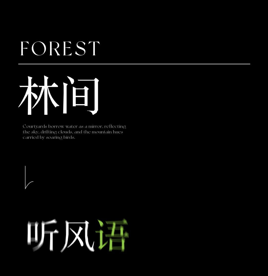 1744249465152550.jpg 1744249417848.jpg