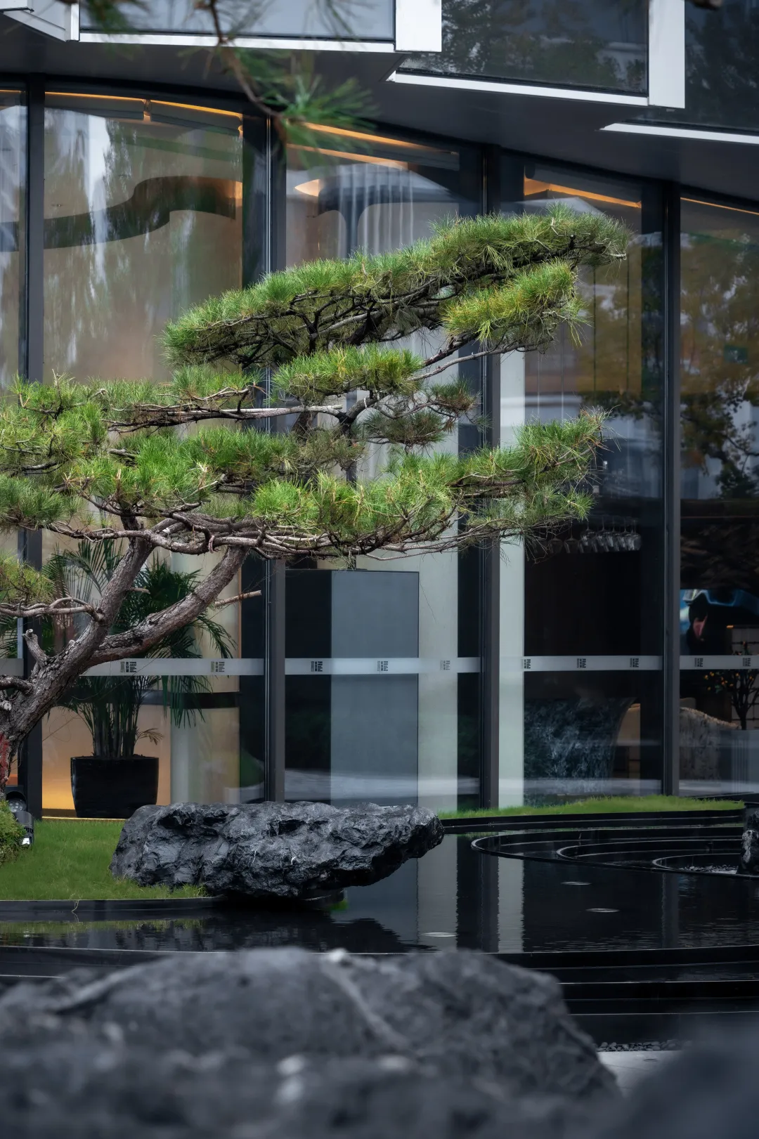 1744249493348599.jpg 1744249475809.jpg