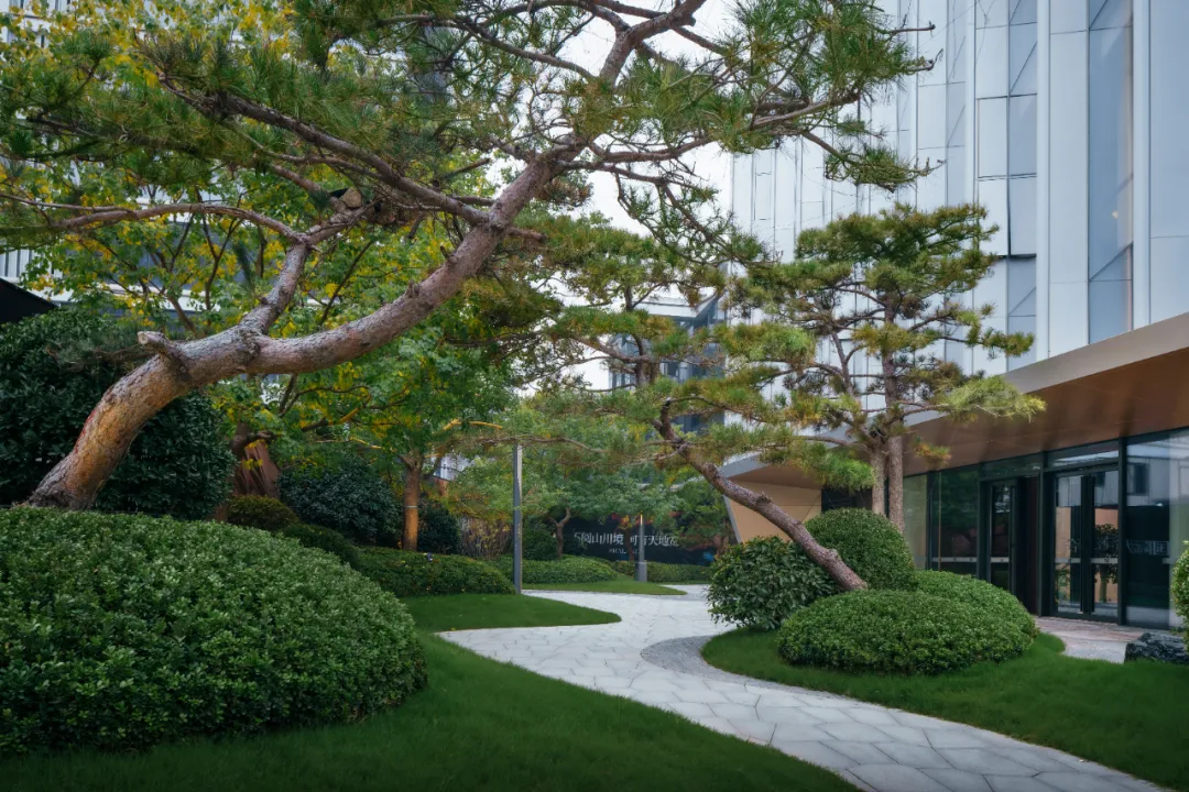 1744249506172463.jpg 1744249483744.jpg