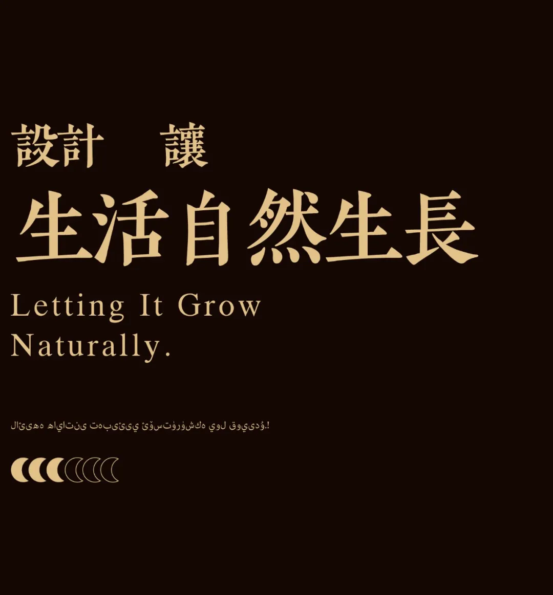 1744252067297371.jpg 1744252061974.jpg