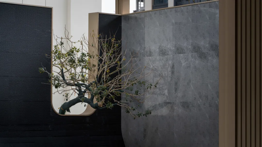 1747119603239944.jpg 1747119594832.jpg