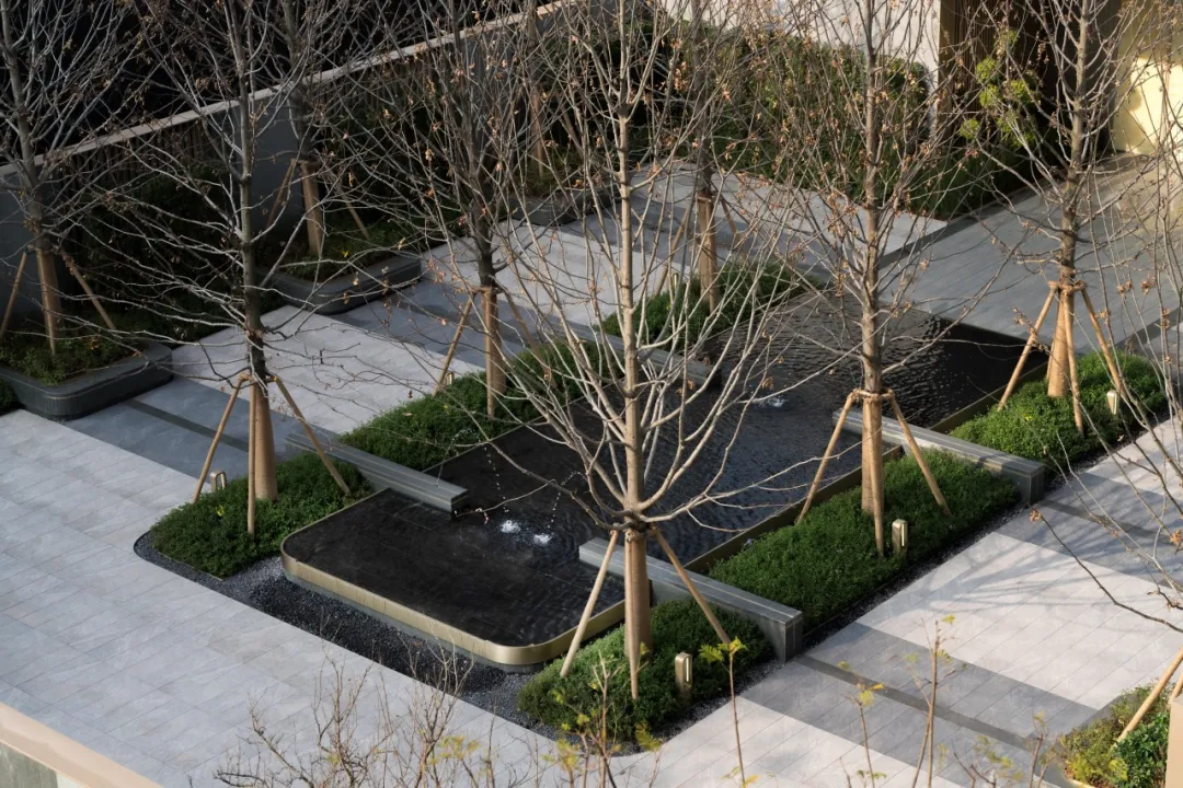 1747119702835108.jpg 1747119694340.jpg