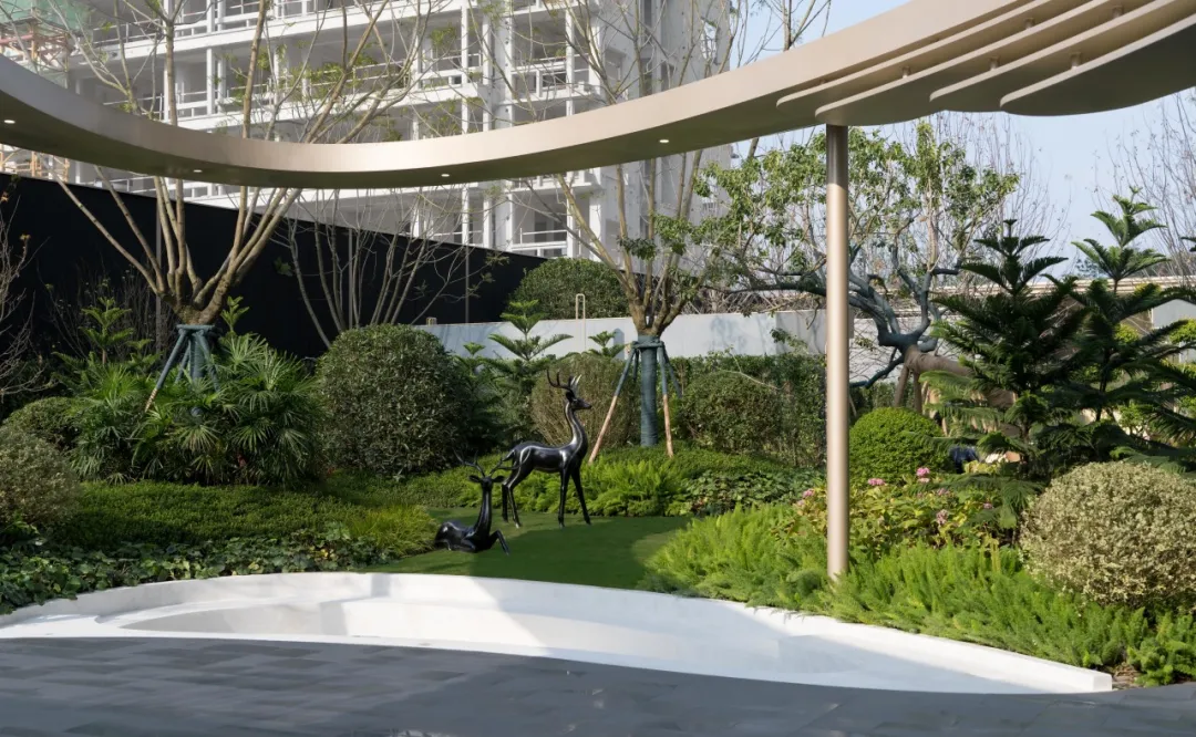 1747119725184328.jpg 1747119718604.jpg