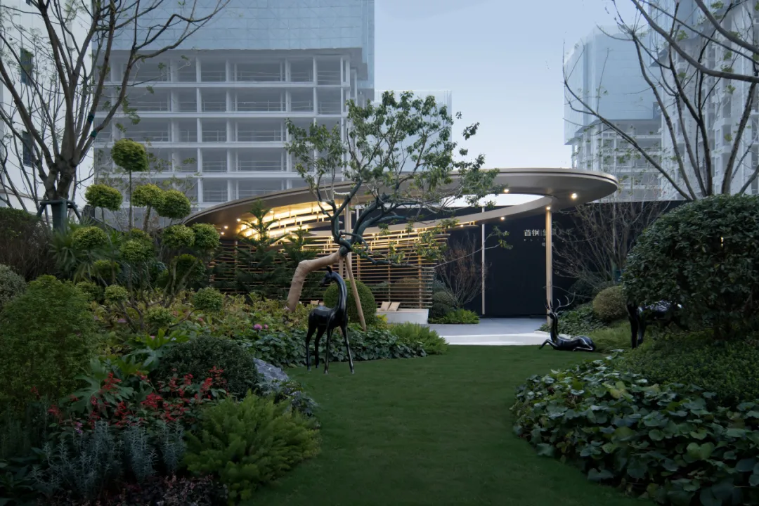 1747119746542002.jpg 1747119737195.jpg