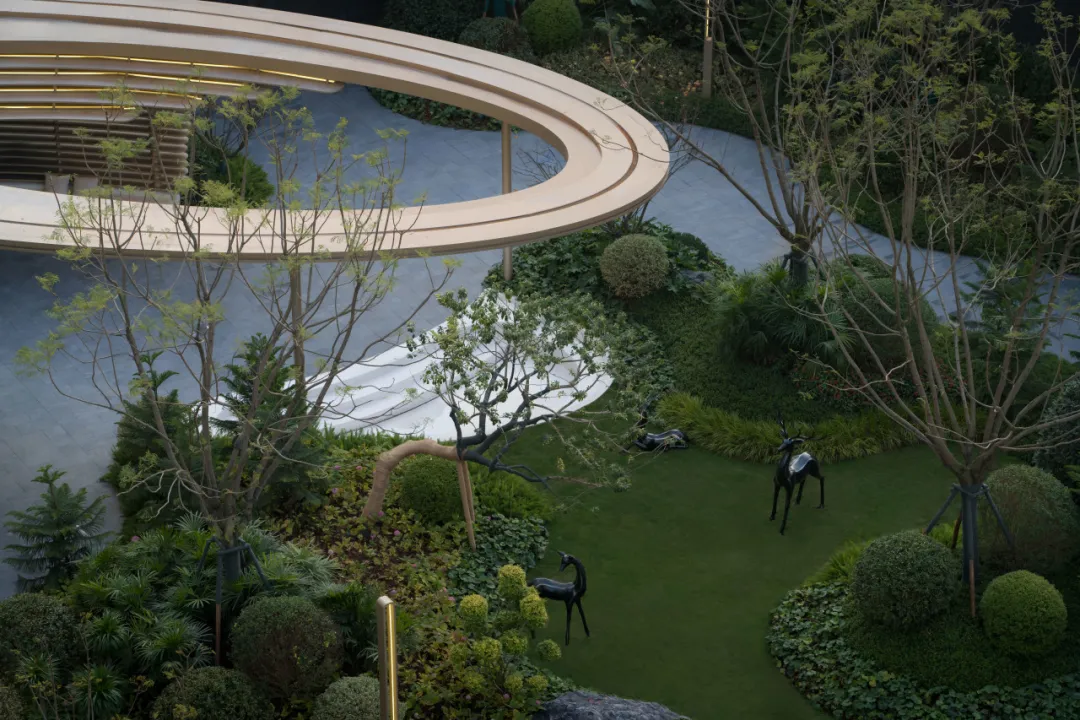 1747121254859175.jpg 1747121250612.jpg