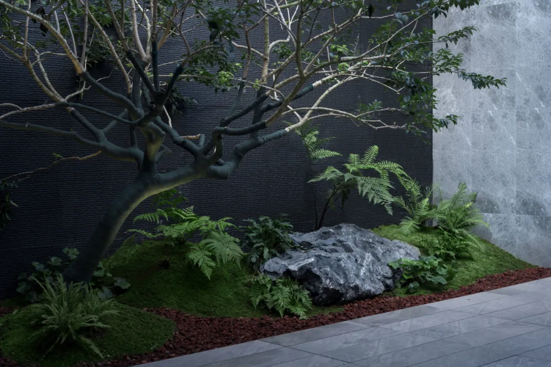 1747121287157464.jpg 1747121281260.jpg