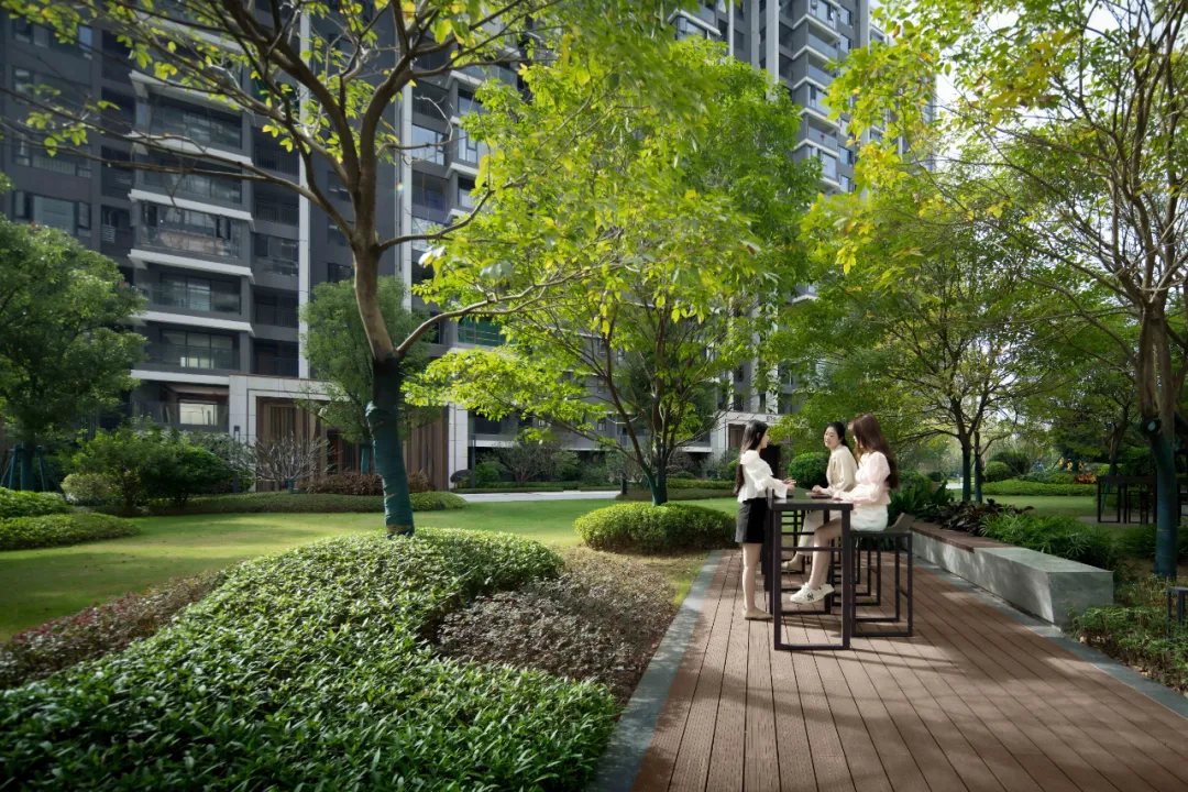 1747122097859548.jpg 1747122094060.jpg