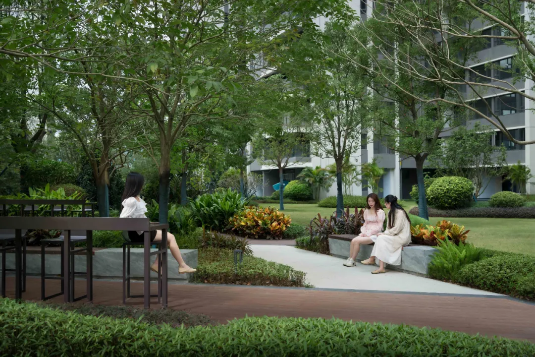 1747124688458419.jpg 1747124677784.jpg