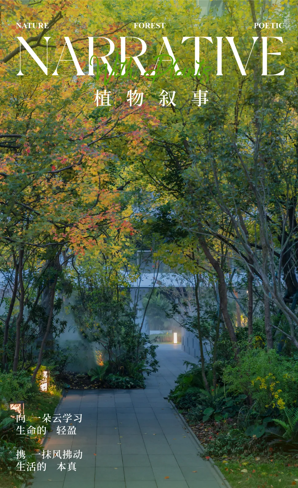 1747204070112293.jpg 1747204066067.jpg