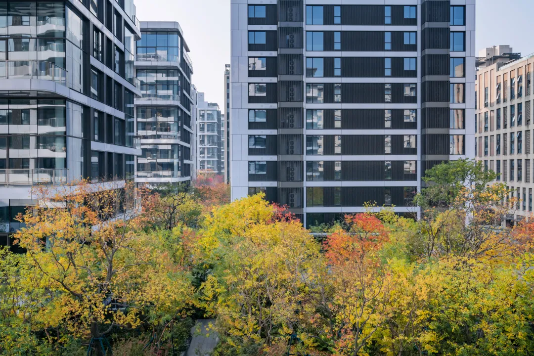 1747204199807497.jpg 1747204194919.jpg