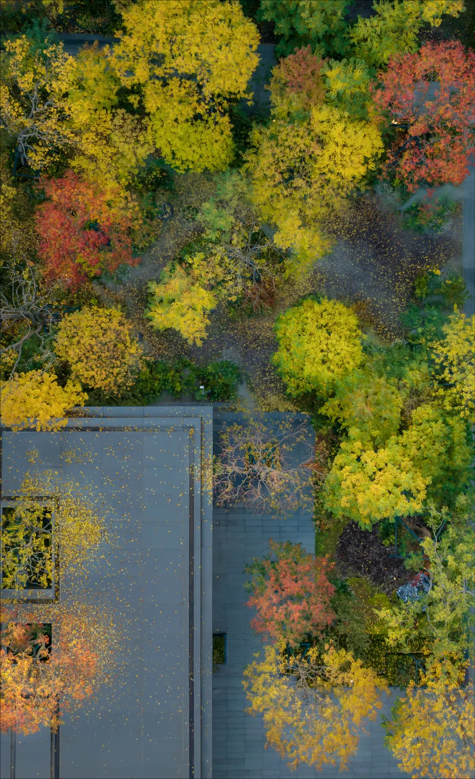 1747204222123324.jpg 1747204216741.jpg