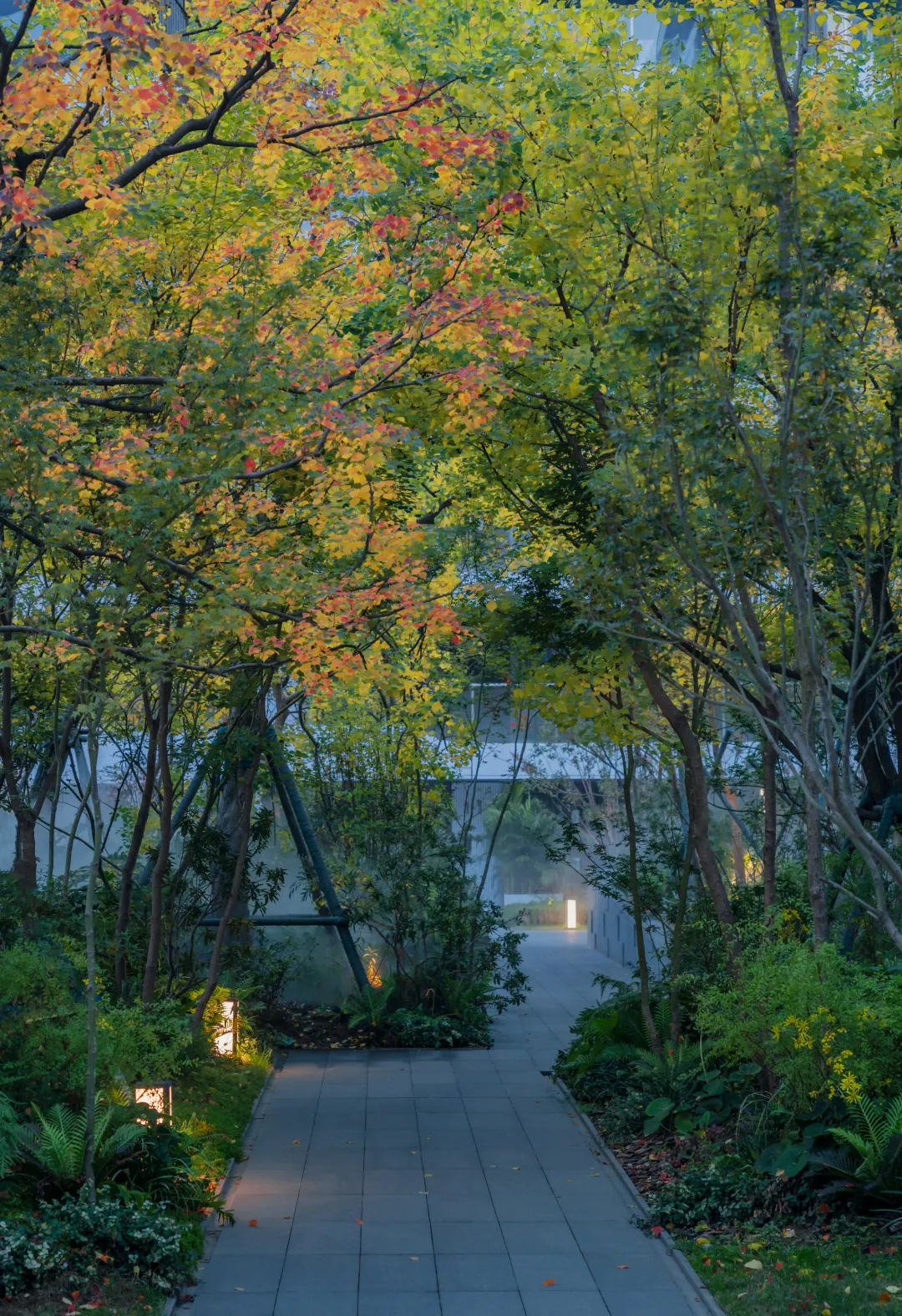 1747205245980105.jpg 1747205217846.jpg