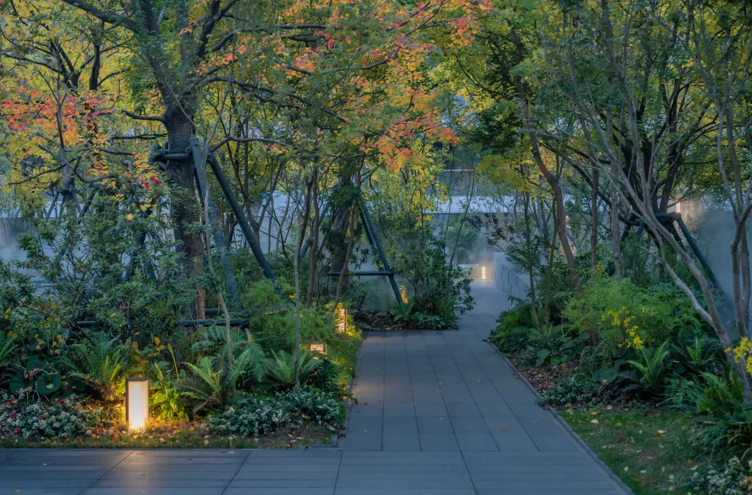 1747205474472499.jpg 1747205460917.jpg