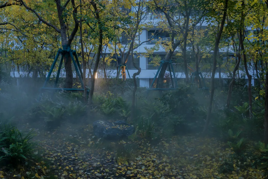 1747205510176597.jpg 1747205500723.jpg