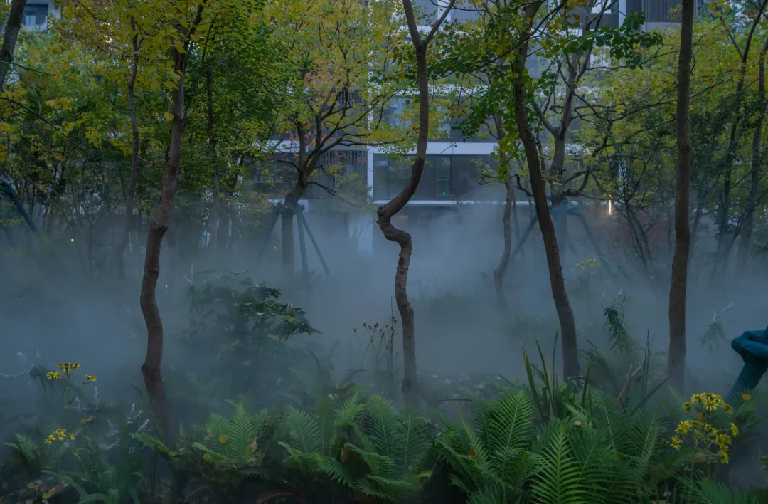 1747205532151726.jpg 1747205520267.jpg