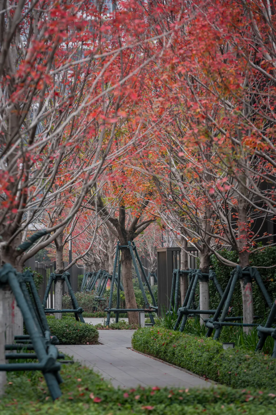 1747205952188044.jpg 1747205909043.jpg