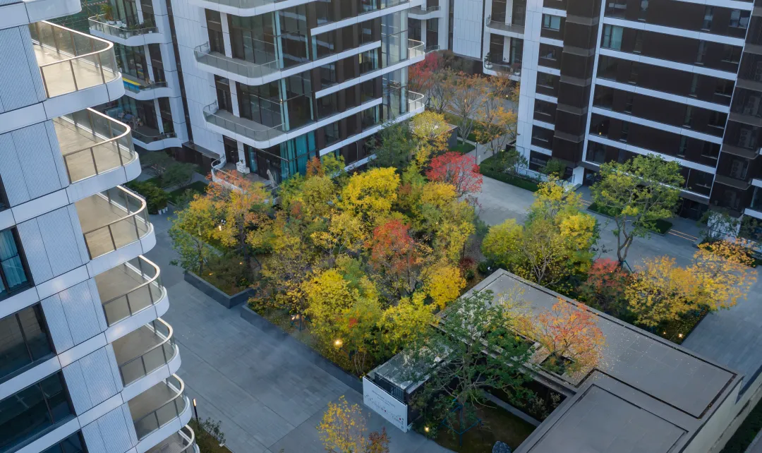 1747206093115705.jpg 1747206083962.jpg