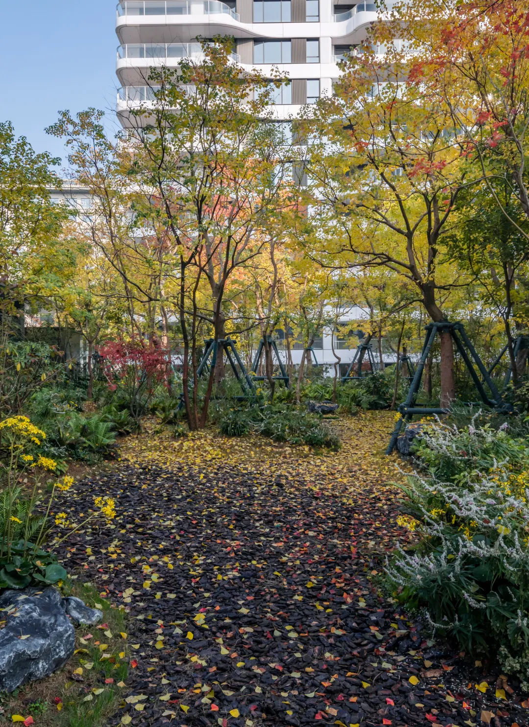 1747206161134600.jpg 1747206139391.jpg