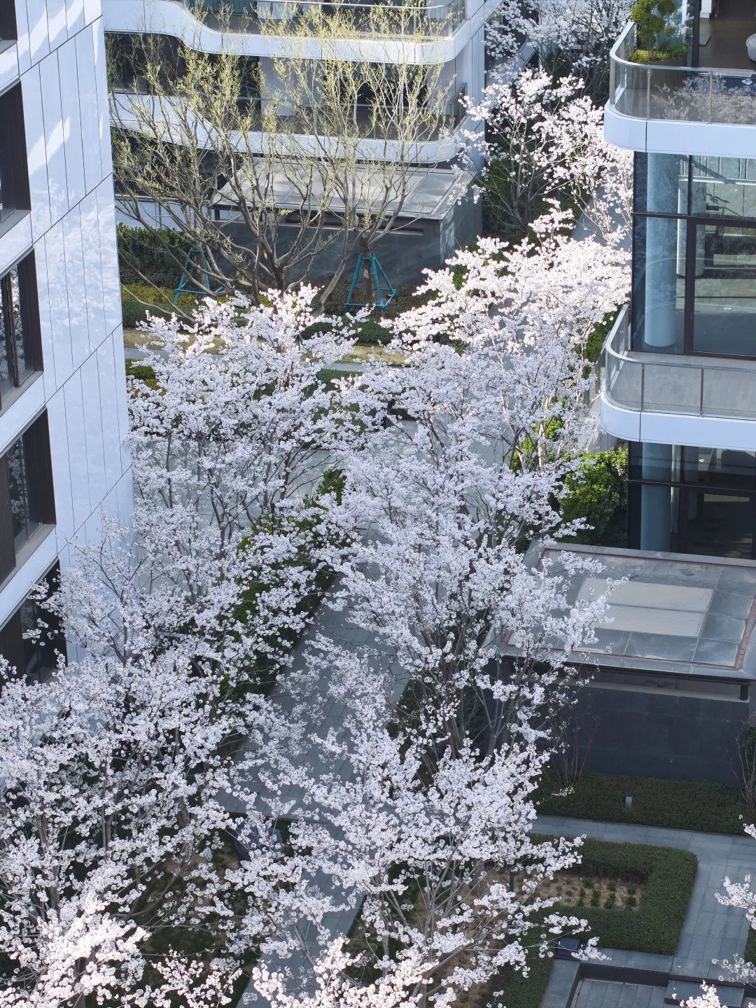 1747206290125399.jpg 1747206272054.jpg