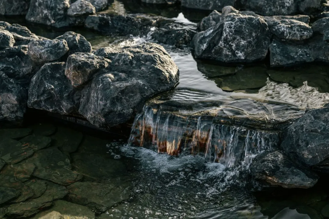 1748510128101166.jpg 1748510123862.jpg