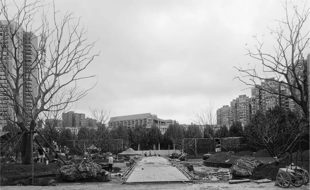 1748510469160952.jpg 1748510466212.jpg