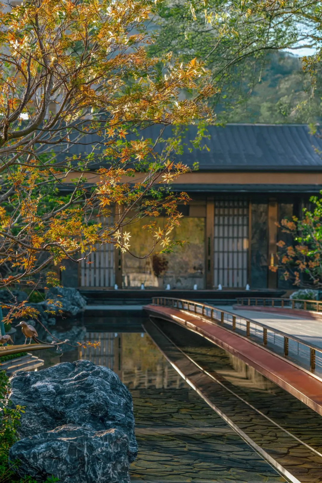 1748510504332876.jpg 1748510499666.jpg