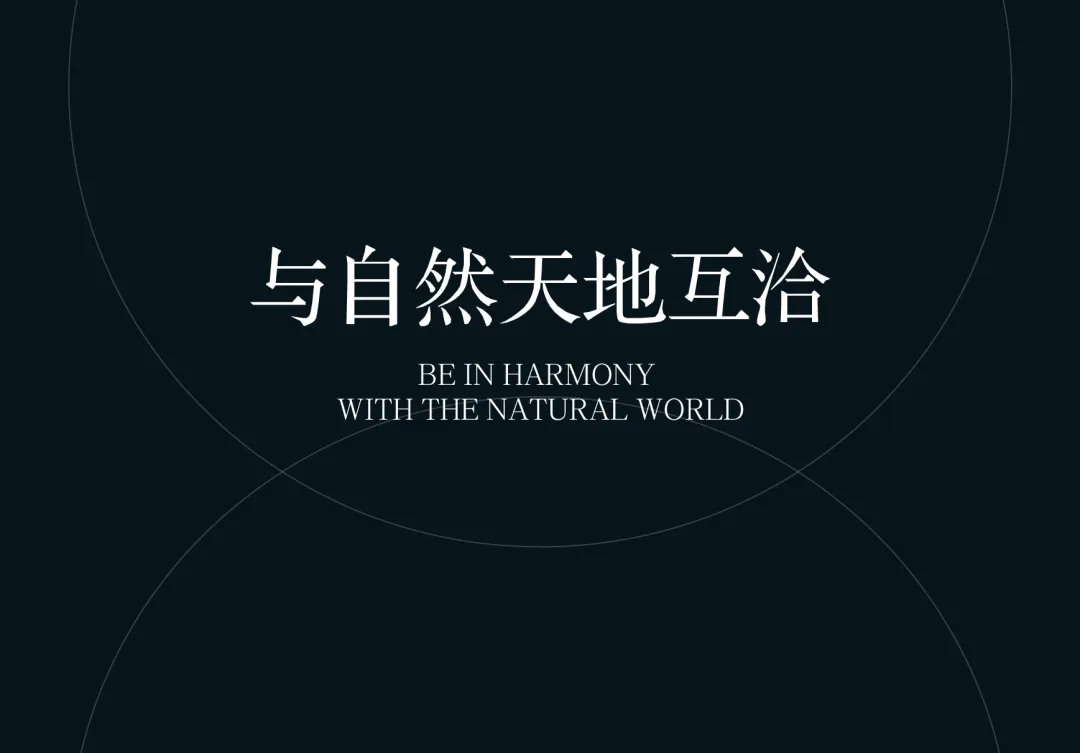 1749003482975686.jpg 1749003480741.jpg