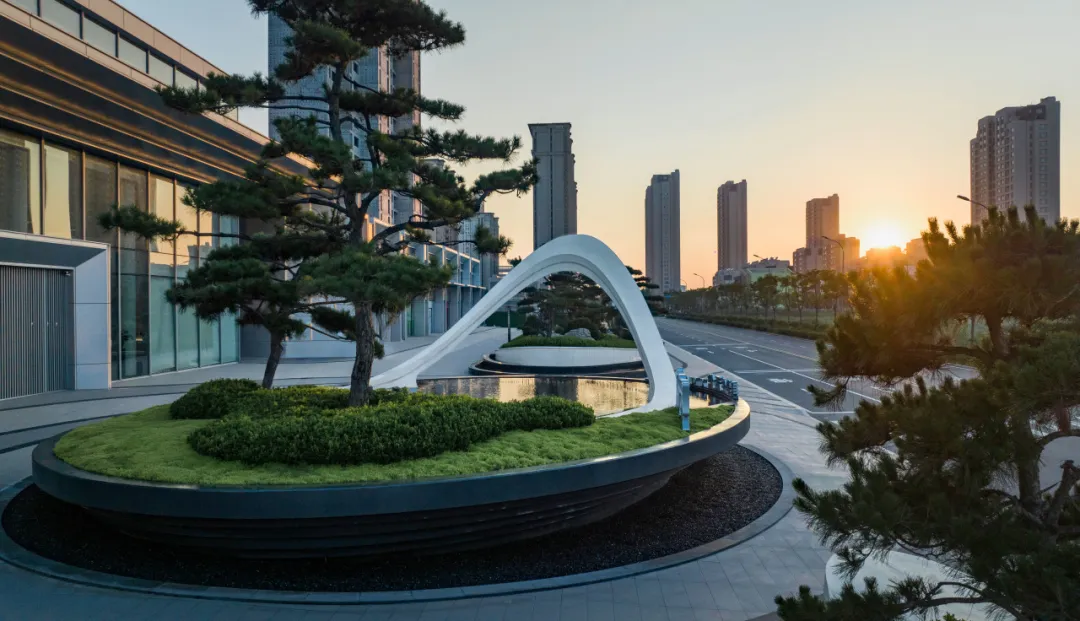 1749003593543563.jpg 1749003590840.jpg