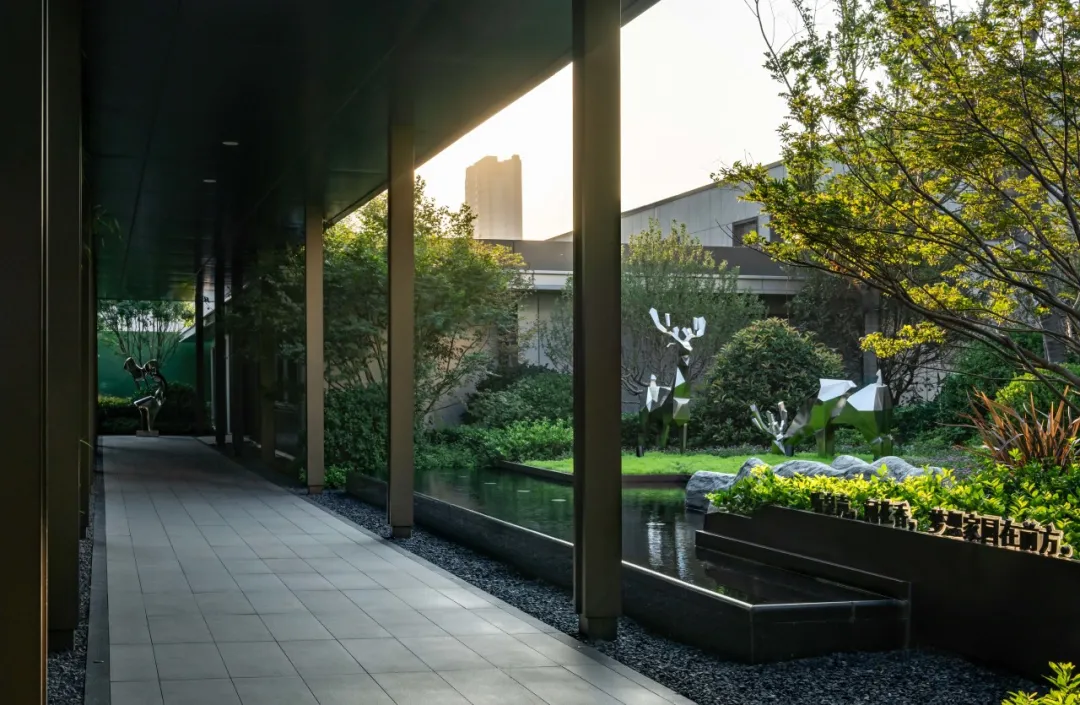 1749003817368072.jpg 1749003815226.jpg