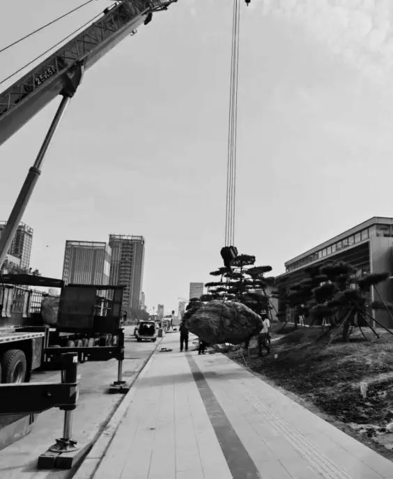 1749003845194763.jpg 1749003842759.jpg