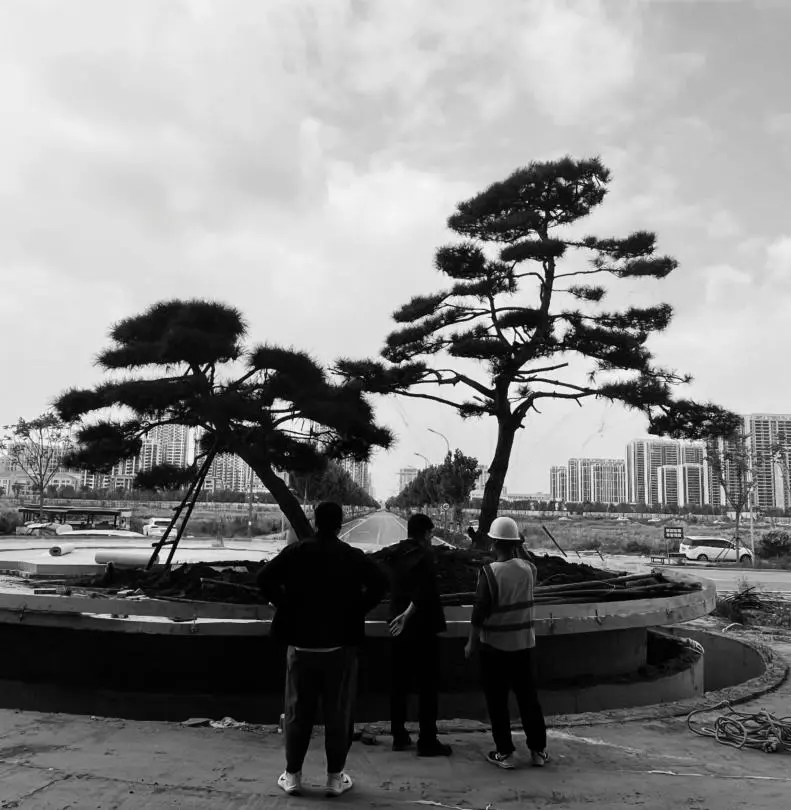 1749003854533558.jpg 1749003851893.jpg