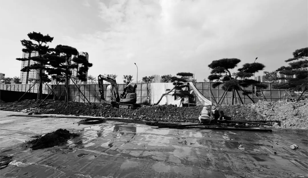 1749003863163975.jpg 1749003858817.jpg